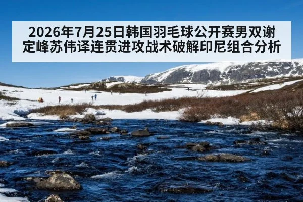 2026年7月25日韩国羽毛球公开赛男双谢定峰苏伟译连贯进攻战术破解印尼组合分析