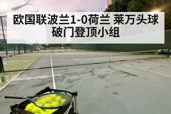 欧国联波兰1-0荷兰 莱万头球破门登顶小组