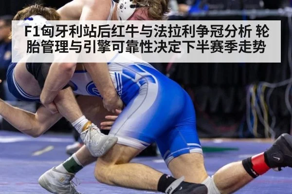 F1匈牙利站后红牛与法拉利争冠分析 轮胎管理与引擎可靠性决定下半赛季走势